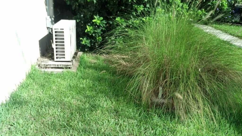 Screening Outdoor Compressors Can Hurt Performance and Equipment